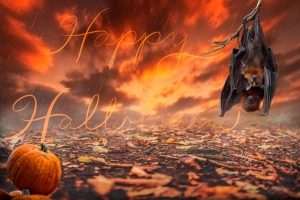 halloween-9098180_1920.jpg